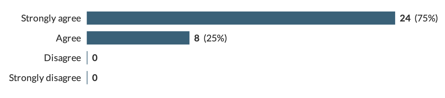 content of the workshop responses