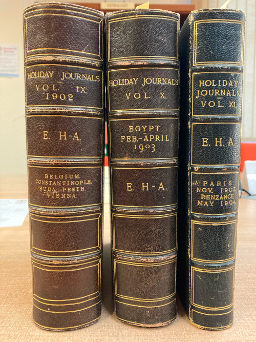 The spines of three volumes of Heron-Allen’s bound travel journals.